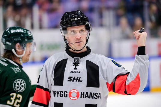 Domare Stefan Leijonklo