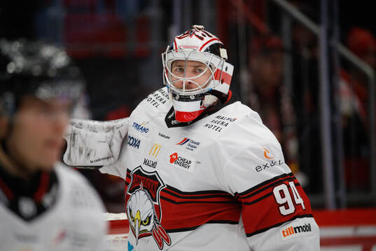 Malmö Redhawks målvakt Marek Langhamer deppar