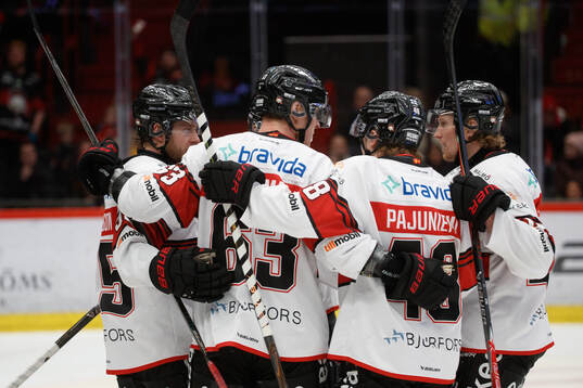 Malmö Redhawks Fredrik Händemark jublar