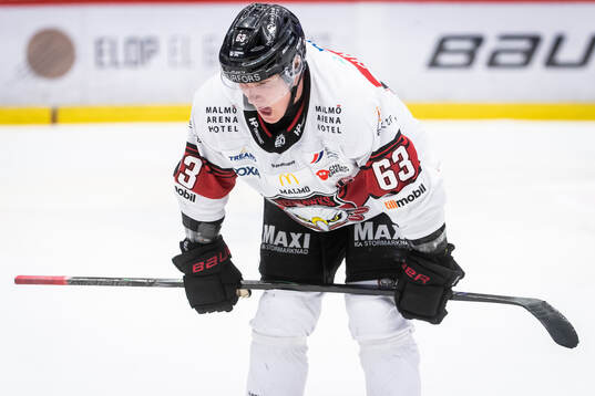 Malmö Redhawks Fredrik Händemark deppar