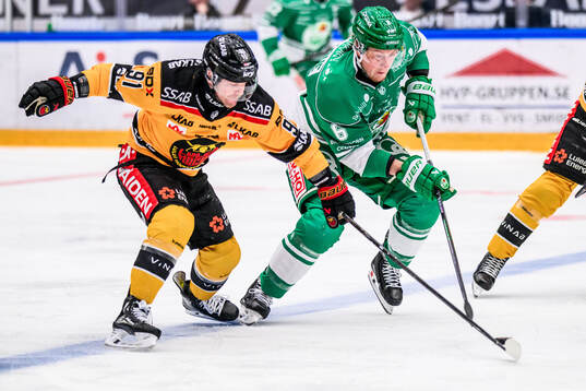 Luleås Brian O'Neill och Rögles Paul LaDue