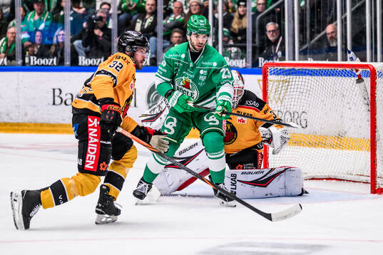 Bläddra bland fler bilder av Ishockey, SHL, Rögle - Luleå