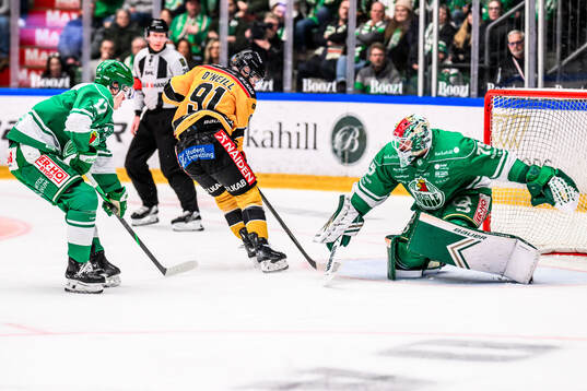 Luleås Brian O'Neill och Rögles målvakt Arvid Holm