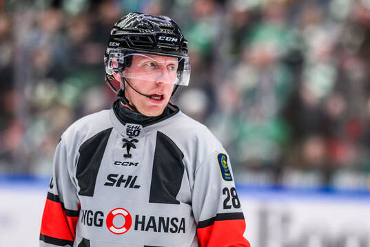Domare Mikael Holm