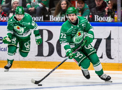 Rögles Daniel Zaar