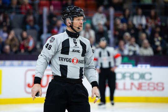 Linjedomare Ludvig Lundgren
