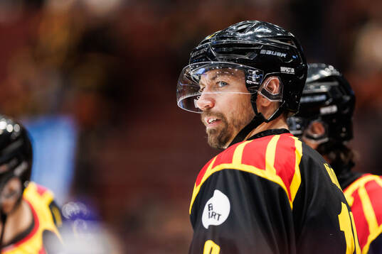Brynäs Anton Rödin