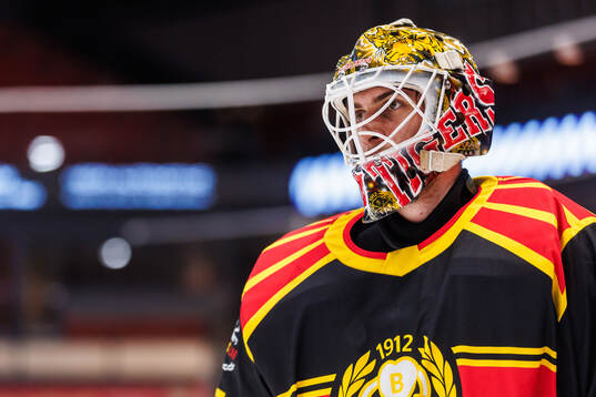 Brynäs målvakt Damian Clara