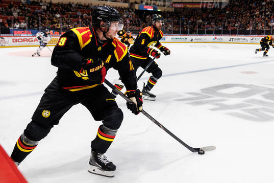 Brynäs Nicklas Bäckström