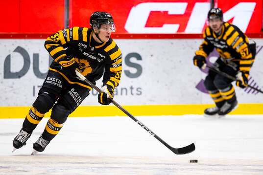 Skellefteås Zeb Forsfjäll