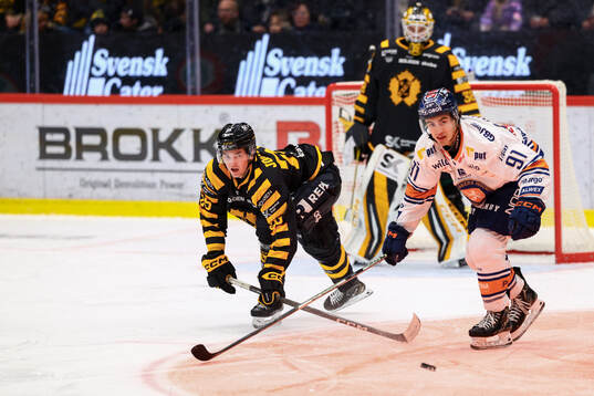 Skellefteås Pontus Johansson  och Växjös Felix Robert