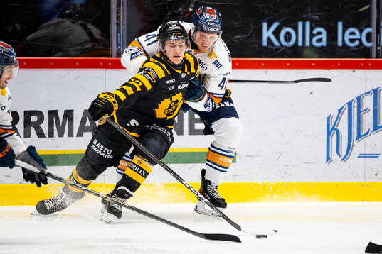 Skellefteås Valter Lindberg och Växjös Ludvig Nilsson