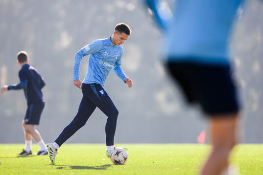 Jovan Milosavljevic