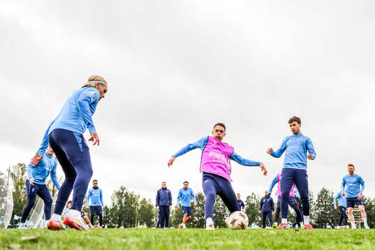 Arnor Sigurdsson, Jovan Milosavljevic och Kenan Busuladzic