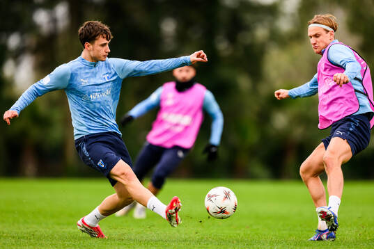 Kenan Busuladzic och Erik Botheim