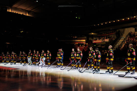 Players of Brynäs