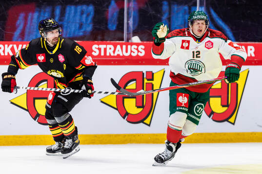 Anton Rödin of Brynäs and Max Friberg of Frölunda