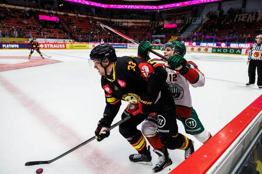 Jakob Silfverberg of Brynäs and Max Friberg of Frölunda