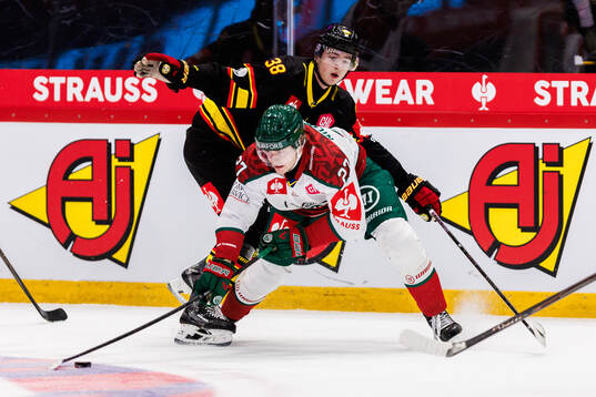 Gustav Hillström of Brynäs and Theodor Niederbach of
