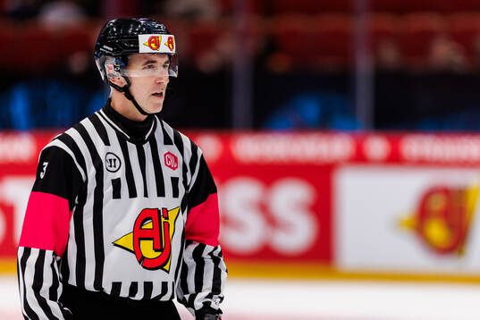 Referee Linus Öhlund