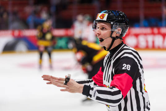 Referee Andreas Huber