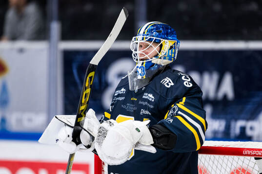 Södertäljes målvakt Niclas Westerholm