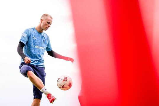 Daniel Gudjohnsen