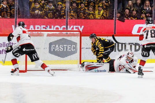 Skellefteås Zeb Forsfjäll och Malmö Redhawks målvakt