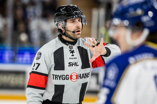 Domare Mikael Sjöqvist