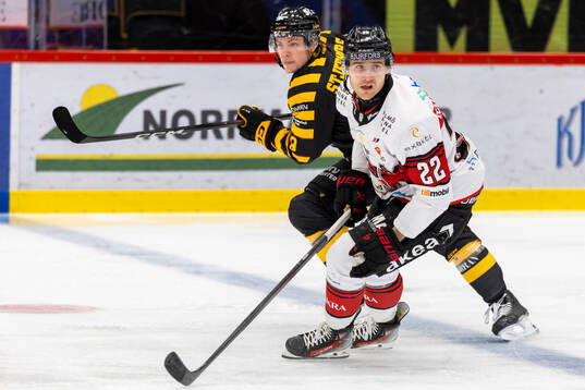 Malmös Janne Kuokkanen och Skellefteås Victor Stjernborg