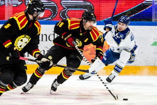 Brynäs Anton Rödin