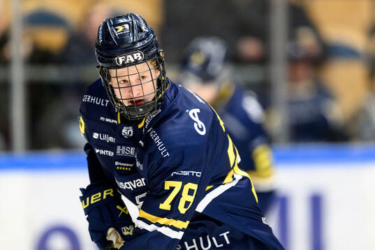HV71s Malte Gustafsson