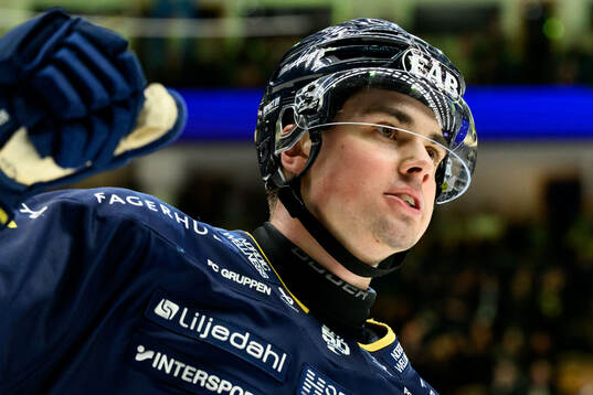 HV71s Hugo Fransson jublar