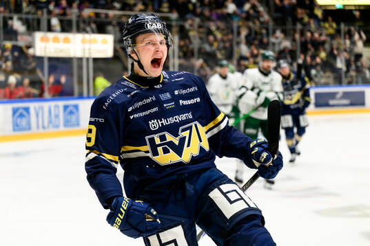 HV71s Hugo Pettersson jublar
