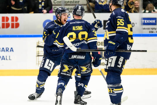 HV71s William Ignberg Nilsson jublar