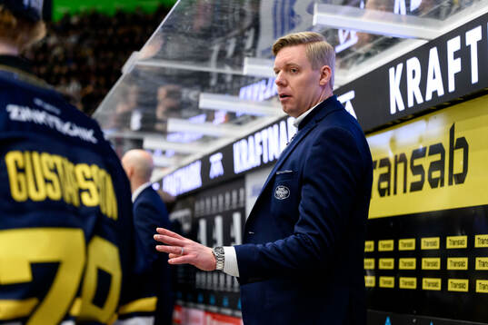 HV71s tränare Anton Blomqvist