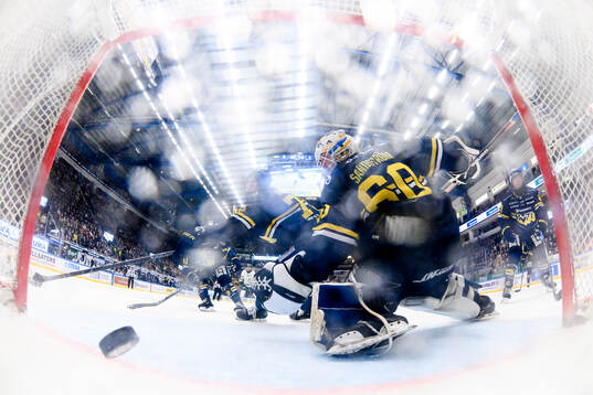 HV71s målvakt Felix Sandström