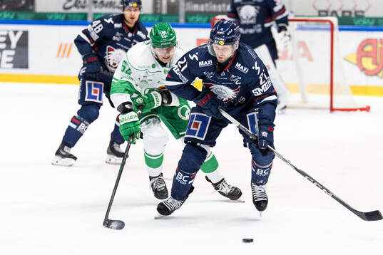 Rögles Lubos Horky och Linköpings Christoffer Ehn