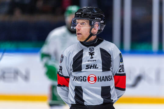 Domare Mikael Holm
