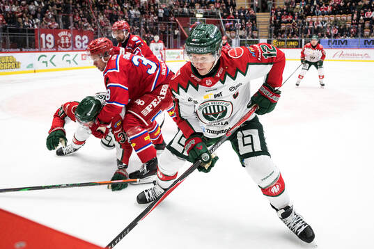 Bläddra bland fler bilder av Ishockey, SHL, Timrå - Frölunda