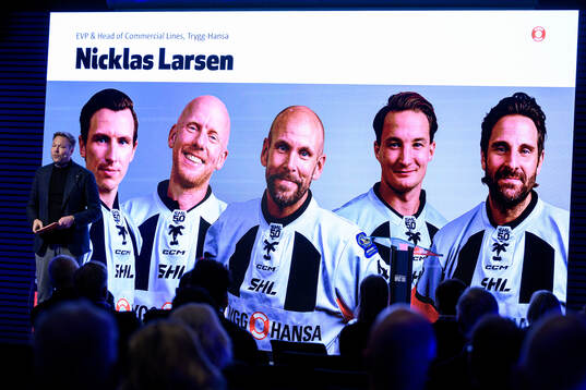 Nicklas Larsen, EVP & Head of Commercial lines Trygg-Hansa