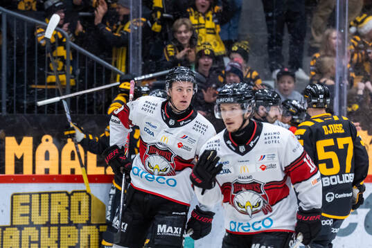 Malmö Redhawks Kalle Hemström och Linus Öberg deppar