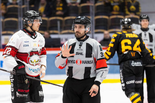 Domare Mattias Enroth