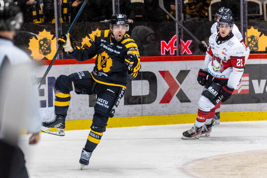 Skellefteås Andreas Johnson jublar