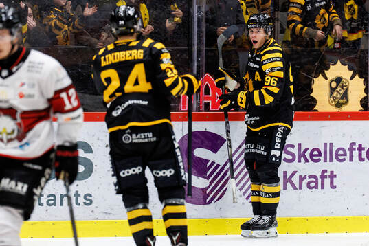 Skellefteås Rickard Hugg jublar