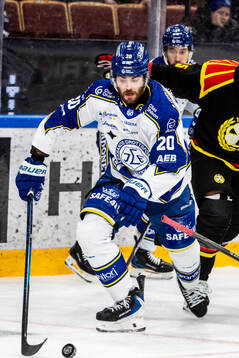 Leksands Nolan Stevens