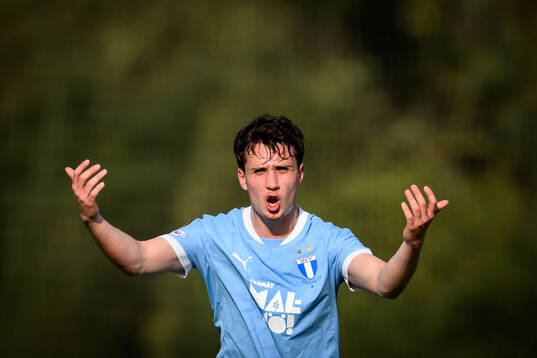 Kenan Busuladzic of Malmö FF