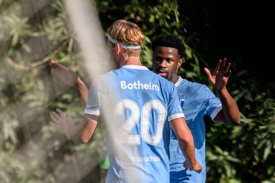 Erik Botheim and Emmanuel Ekong of Malmö FF celebrate
