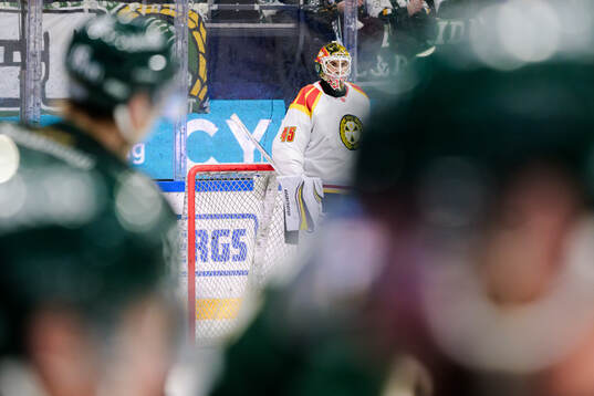 Brynäs målvakt Damian Clara deppar