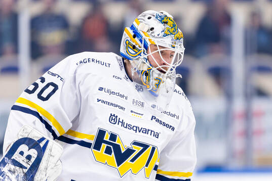 HV71s målvakt Felix Sandström